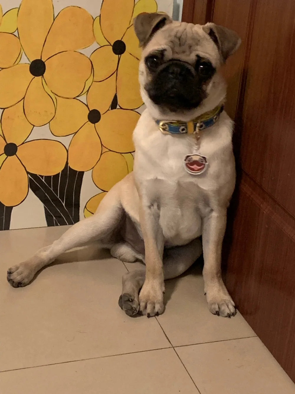 Personalized Acrylic Dog ID Tag