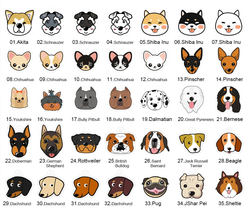 Personalized Acrylic Dog ID Tag