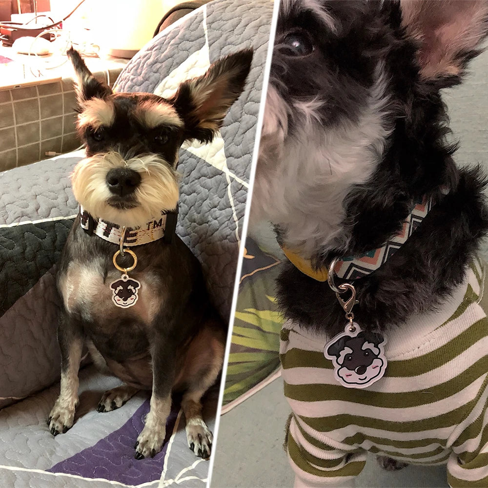 Personalized Acrylic Dog ID Tag