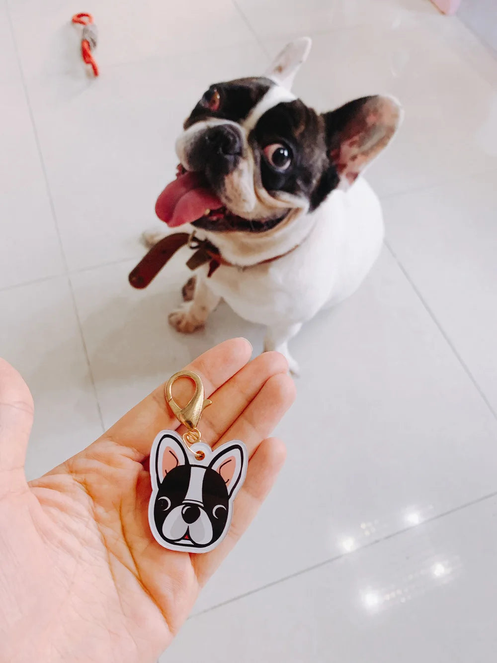 Personalized Acrylic Dog ID Tag