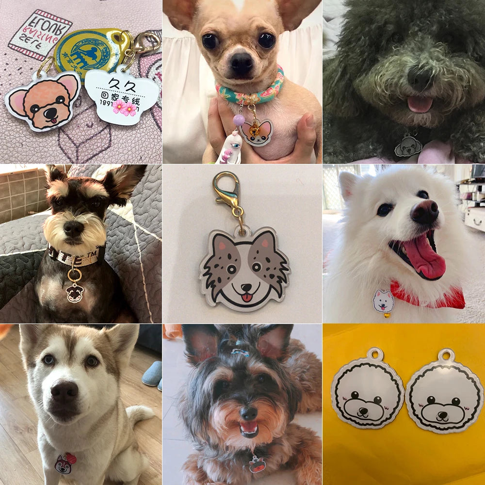 Personalized Acrylic Dog ID Tag