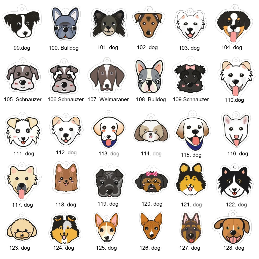 Personalized Acrylic Dog ID Tag