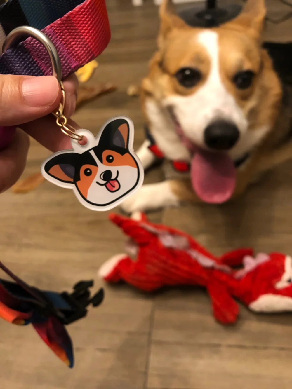 Personalized Acrylic Dog ID Tag