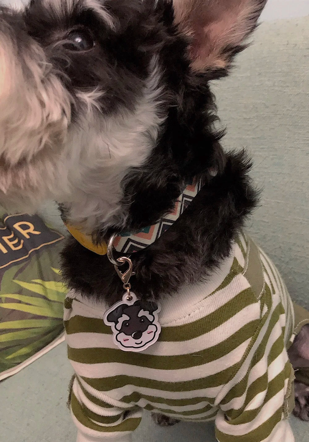 Personalized Acrylic Dog ID Tag