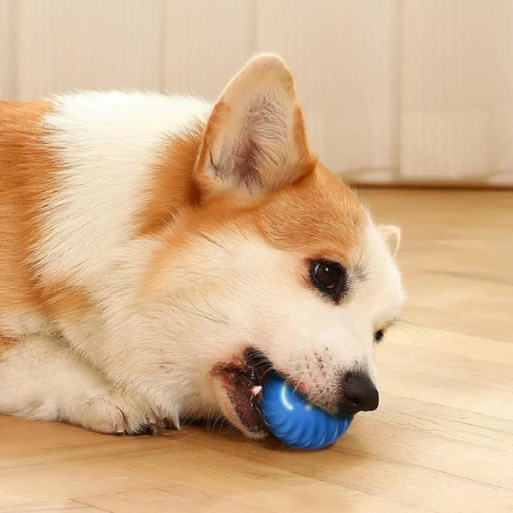 Smart Interactive Bouncing Dog Toy Ball