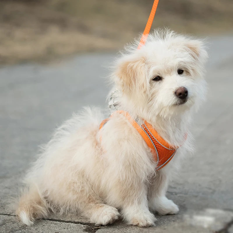 Reflective Outdoor Dog Harness Vest