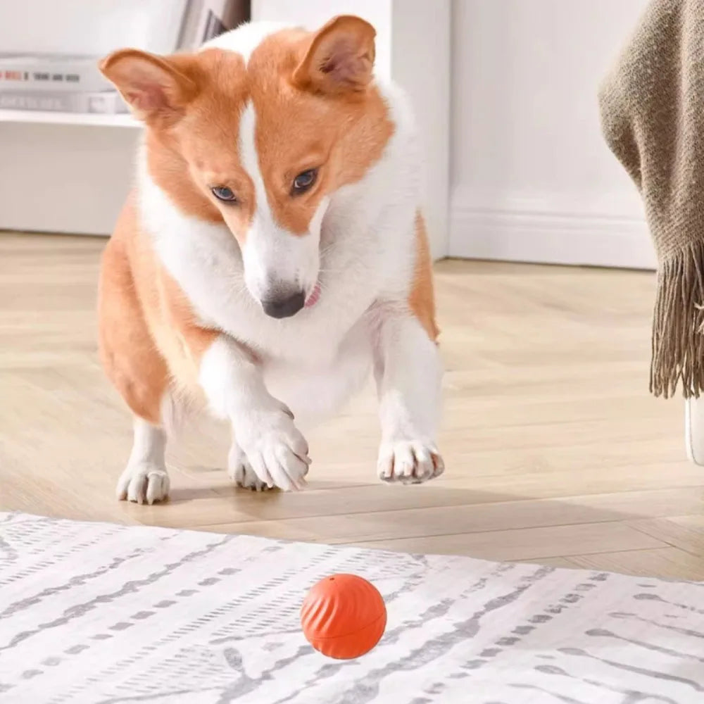Smart Interactive Bouncing Dog Toy Ball