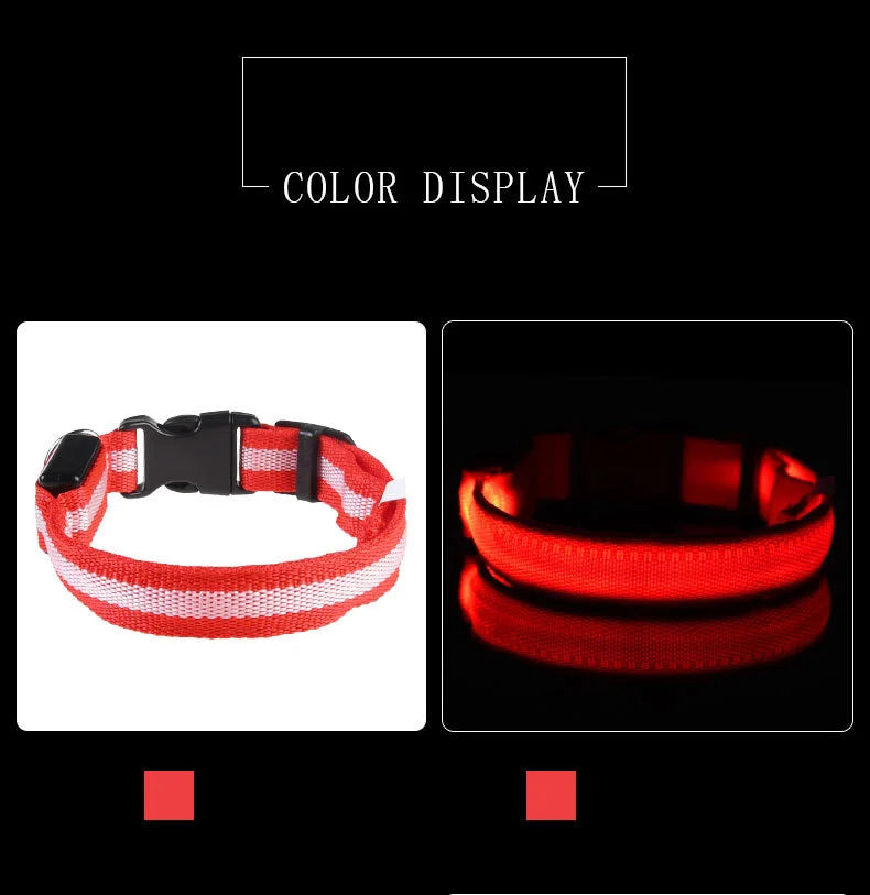 LED Glow-in-the-Dark Dog Leash & Collar